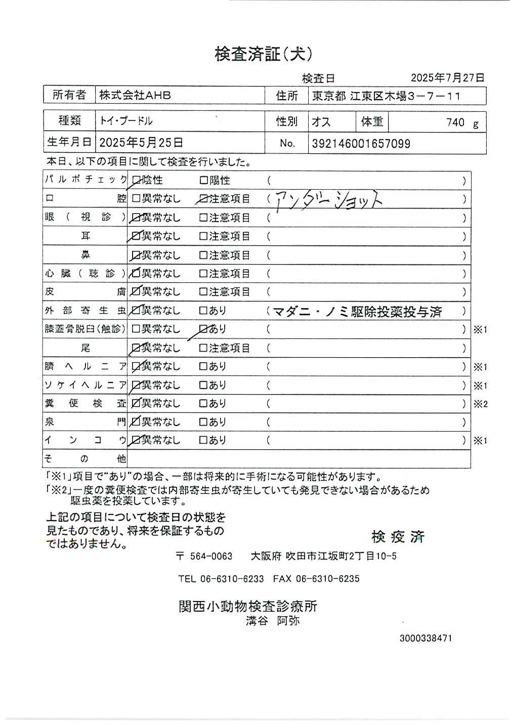 トイ・プードル