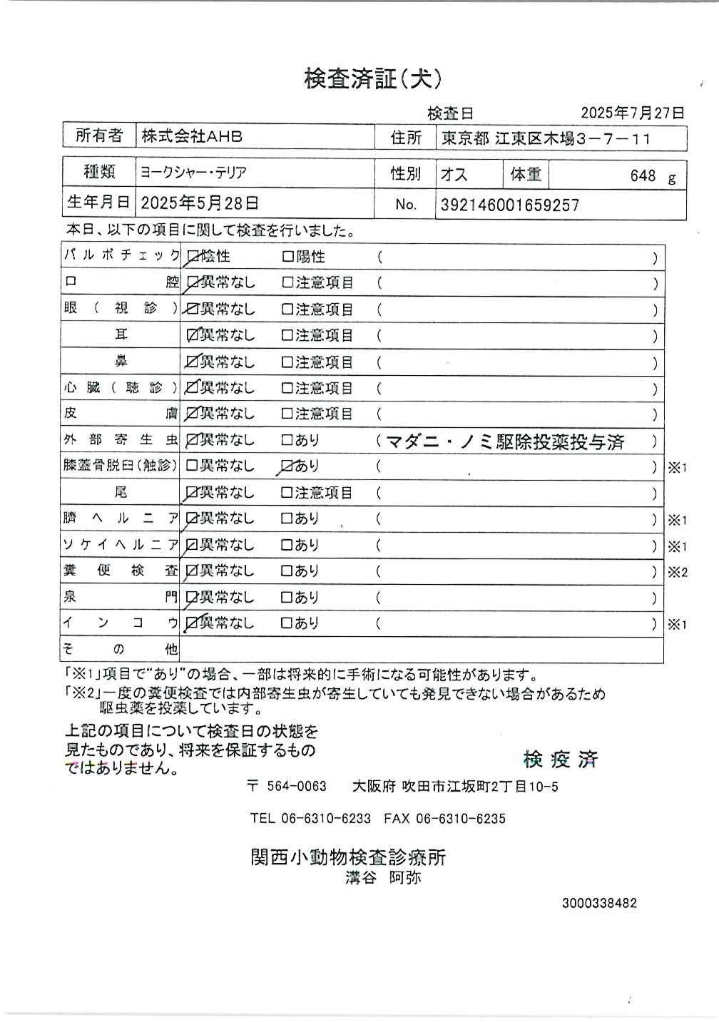 ヨークシャー・テリア