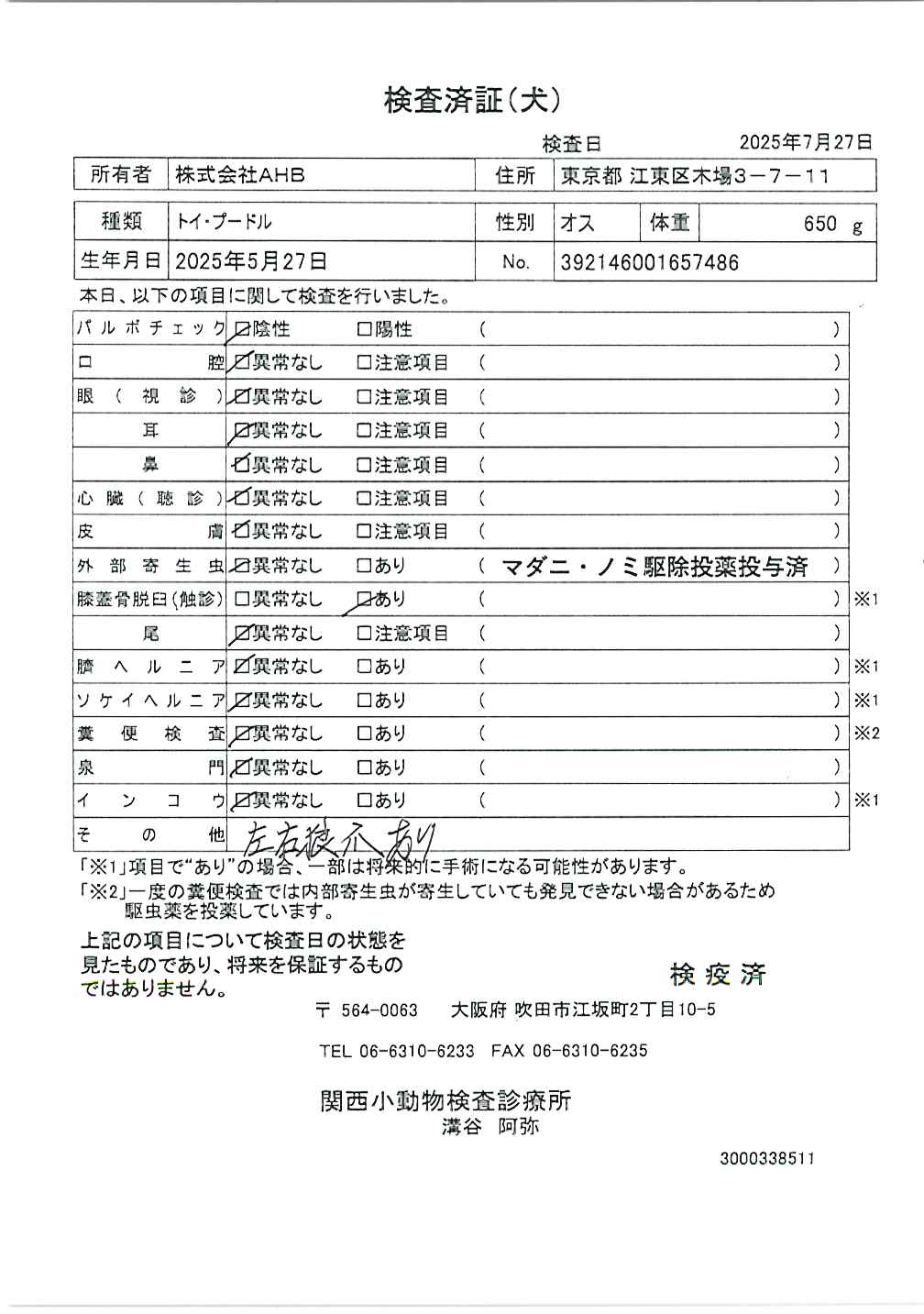 トイ・プードル