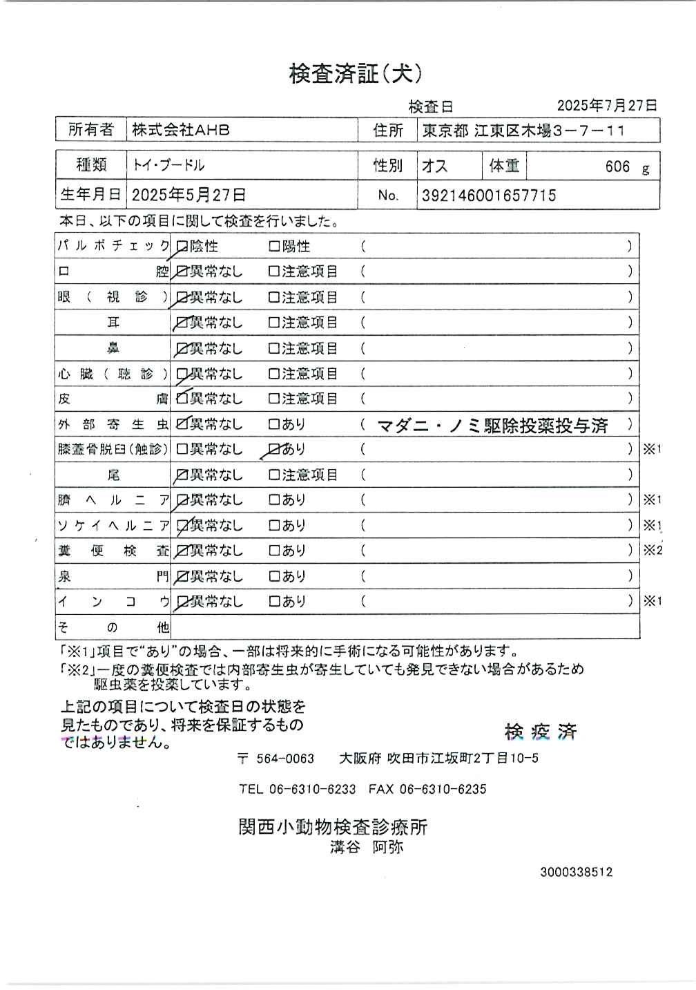 トイ・プードル