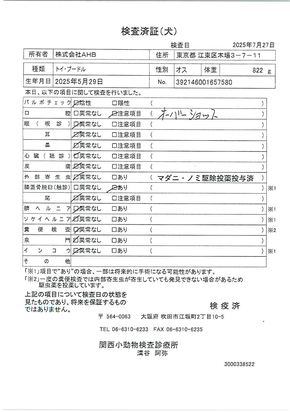 トイ・プードル