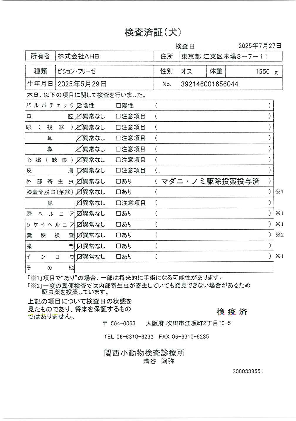 ビション・フリーゼ