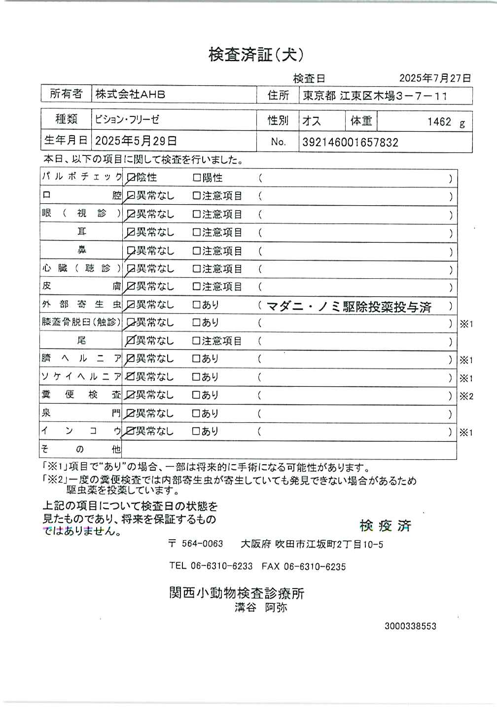 ビション・フリーゼ