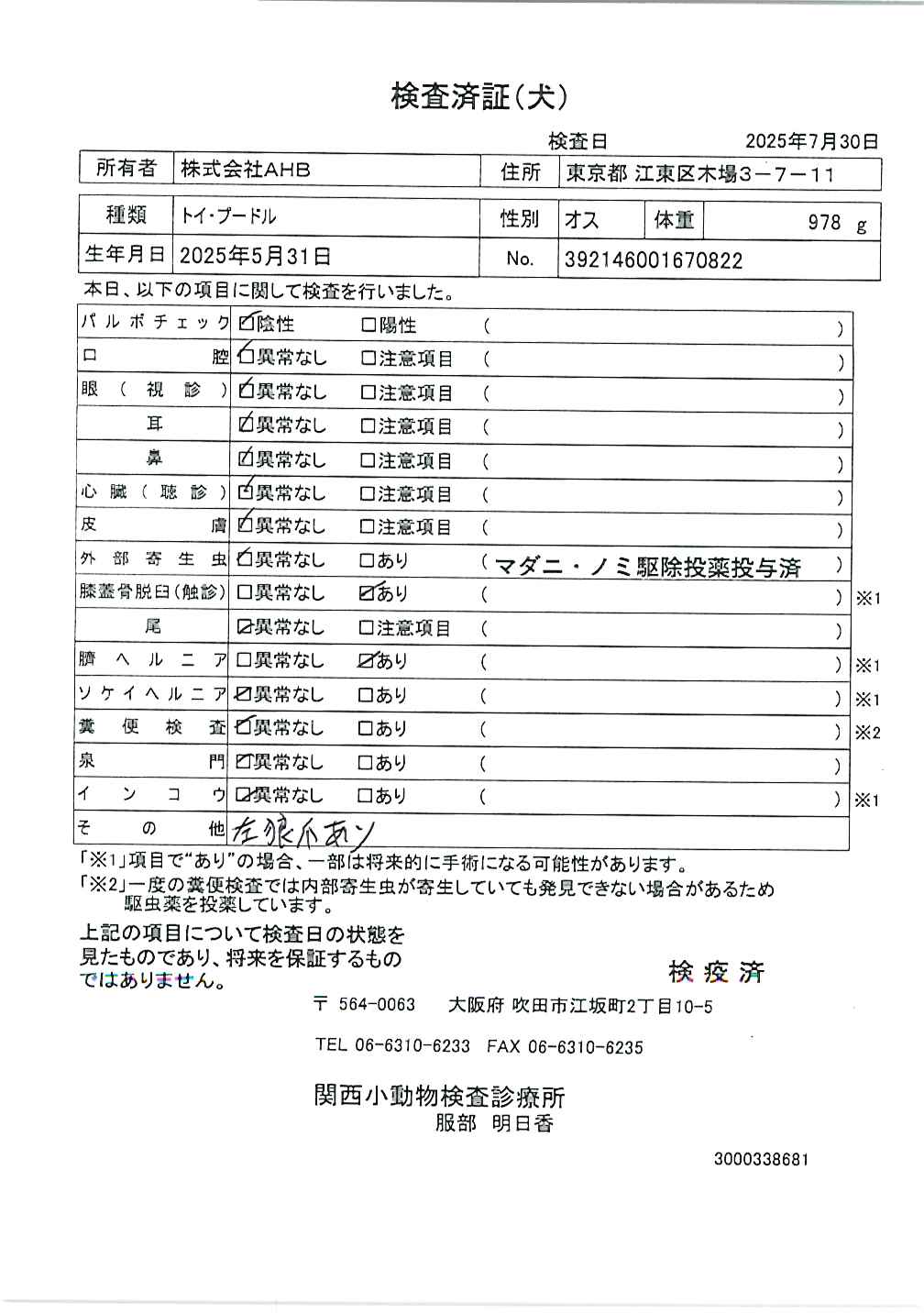 トイ・プードル