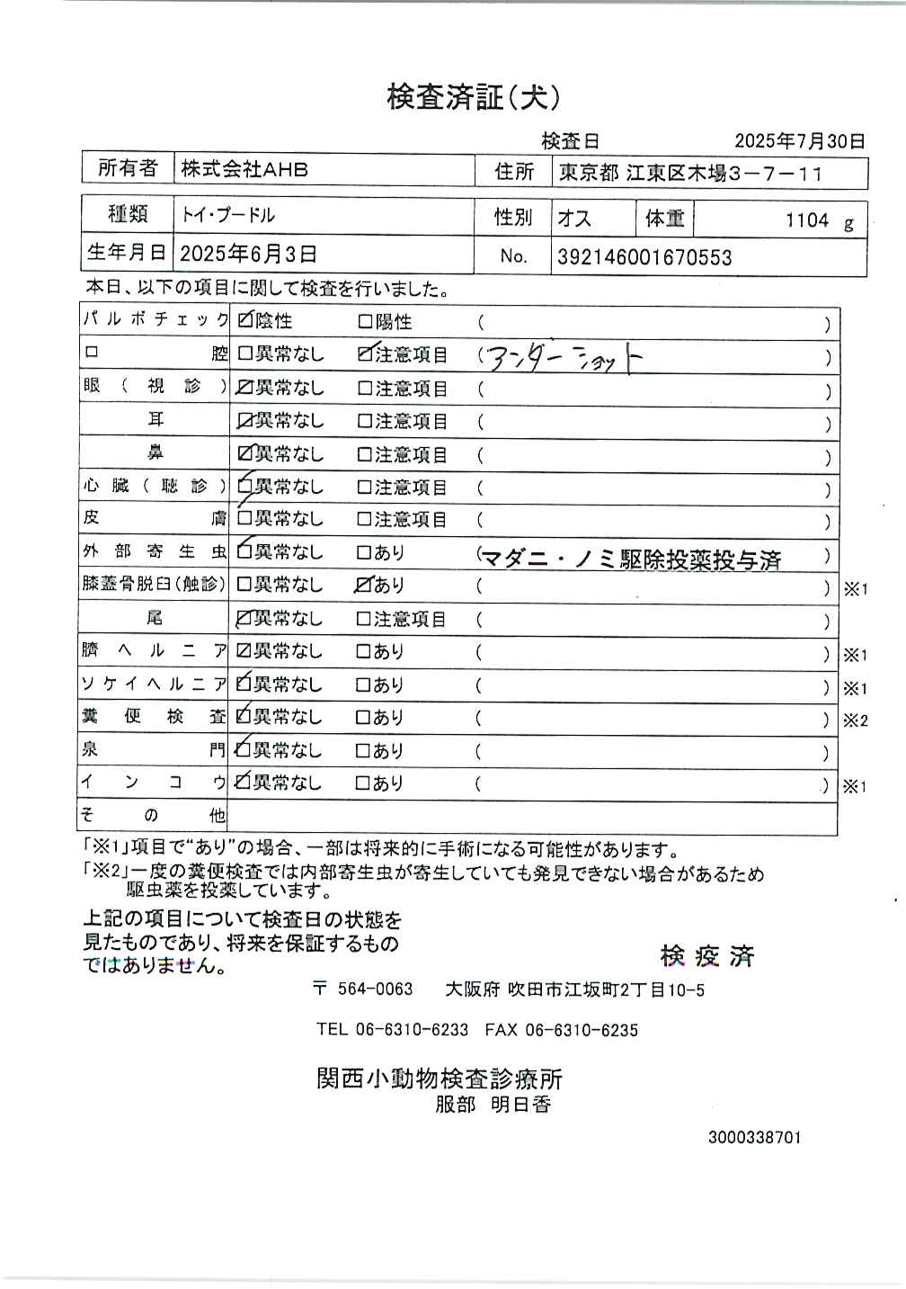 トイ・プードル
