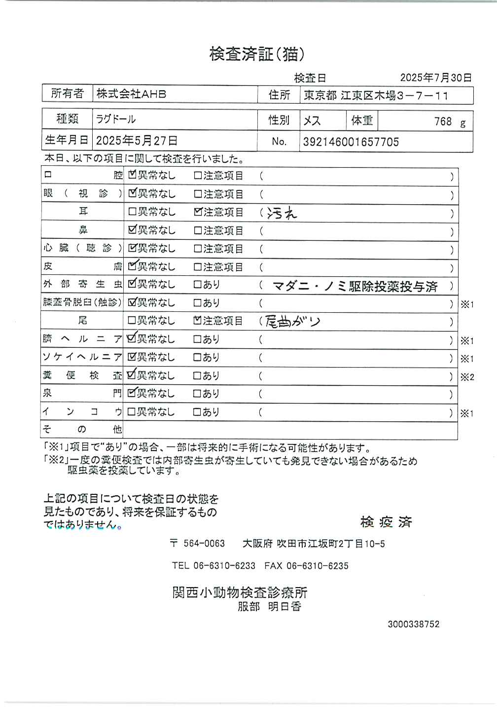 ラグドール