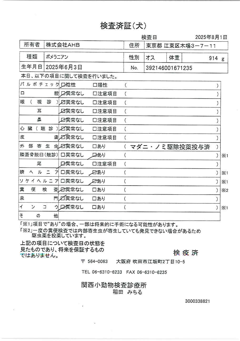 ポメラニアン