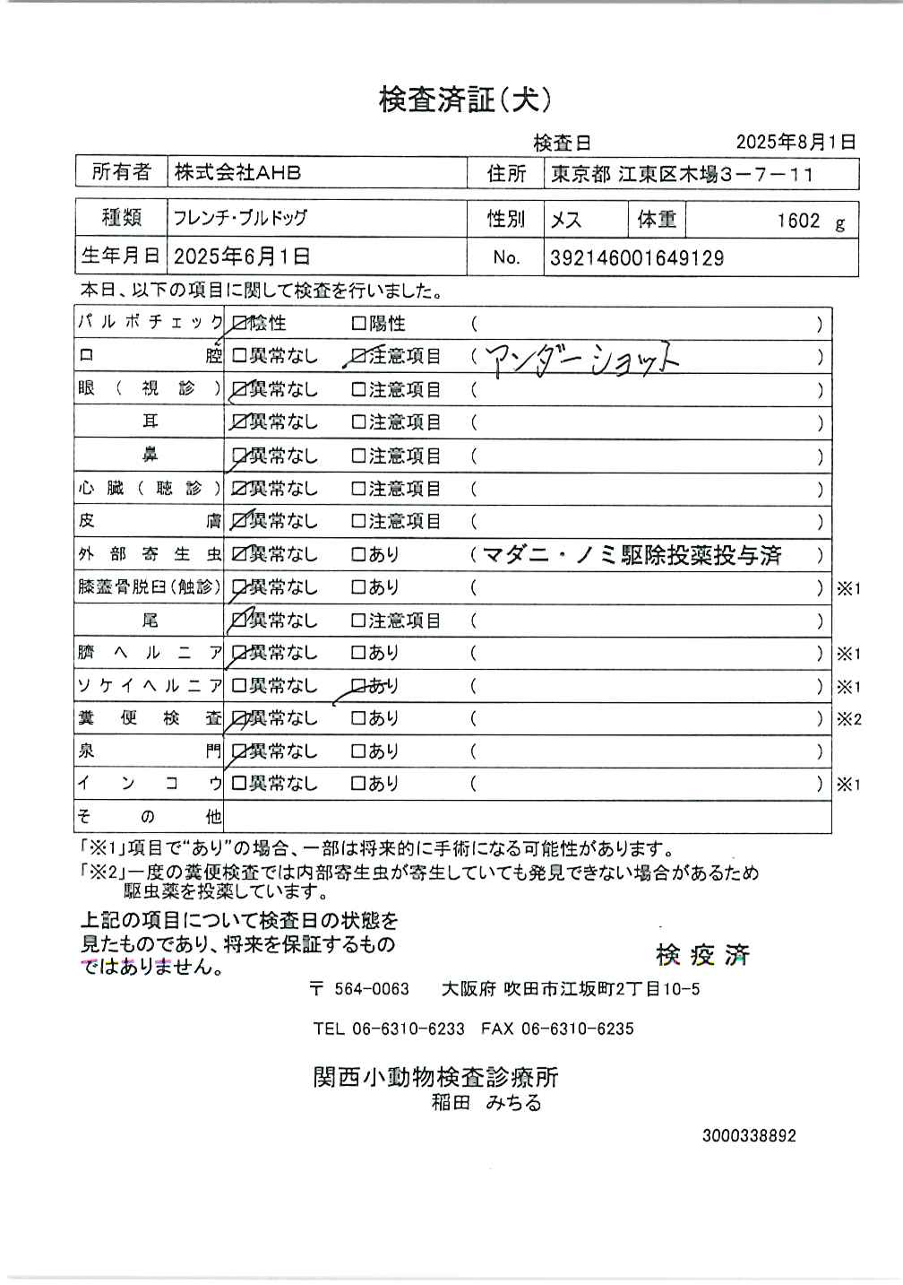フレンチ・ブルドッグ