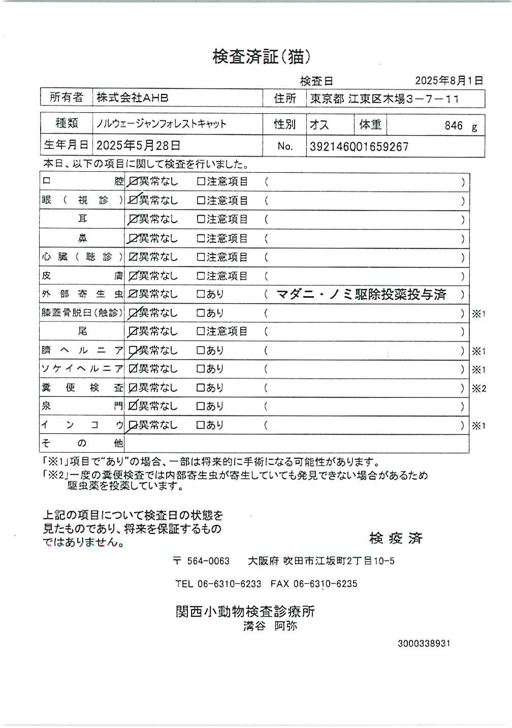 ノルウェージャンフォレストキャット