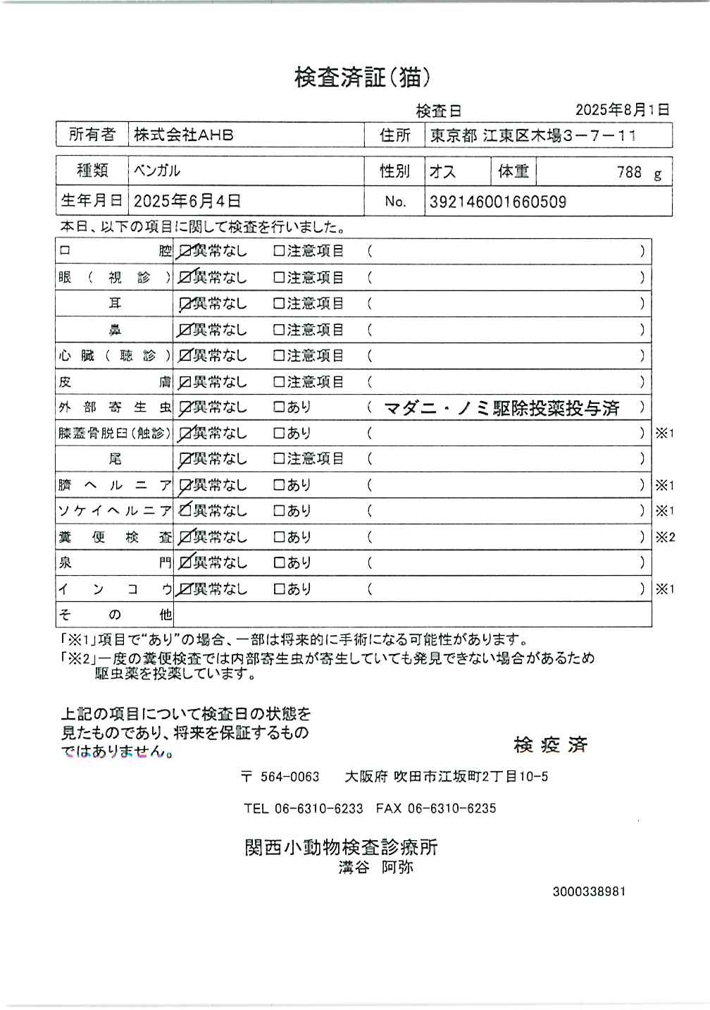 ベンガル