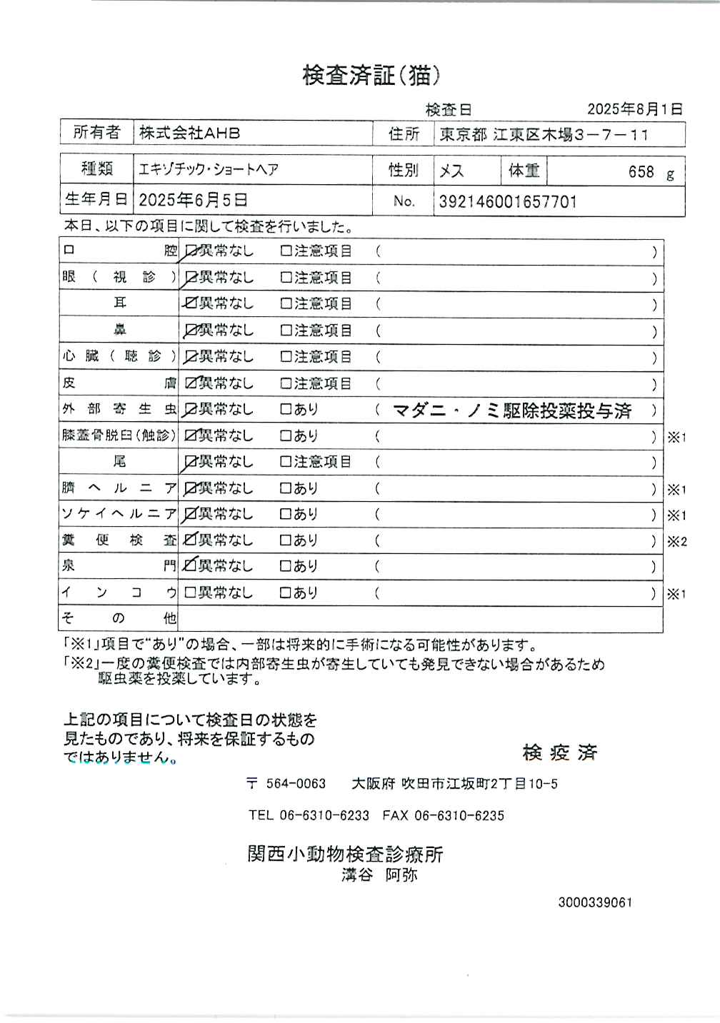 エキゾチック・ショートヘア