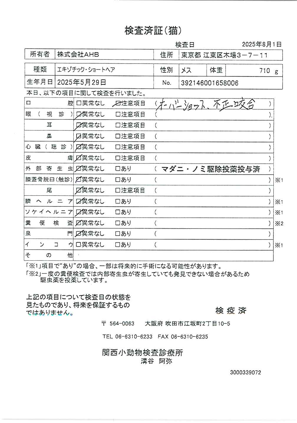 エキゾチック・ショートヘア
