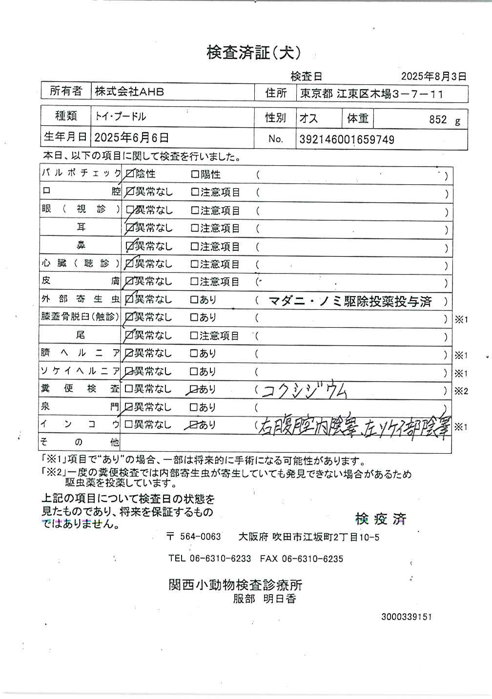 トイ・プードル