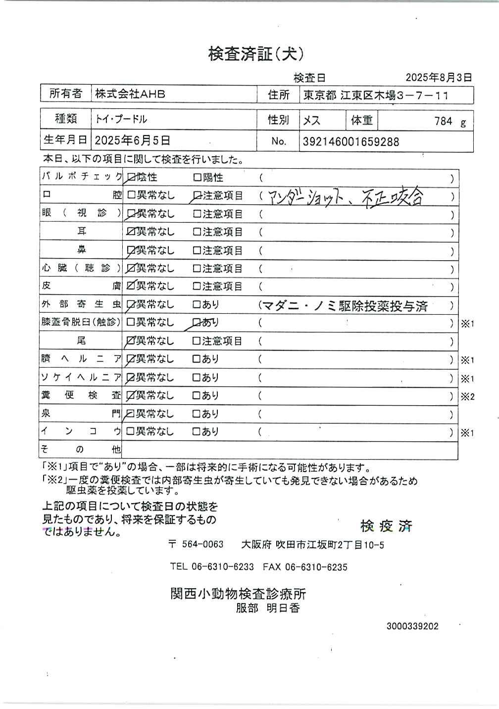 トイ・プードル