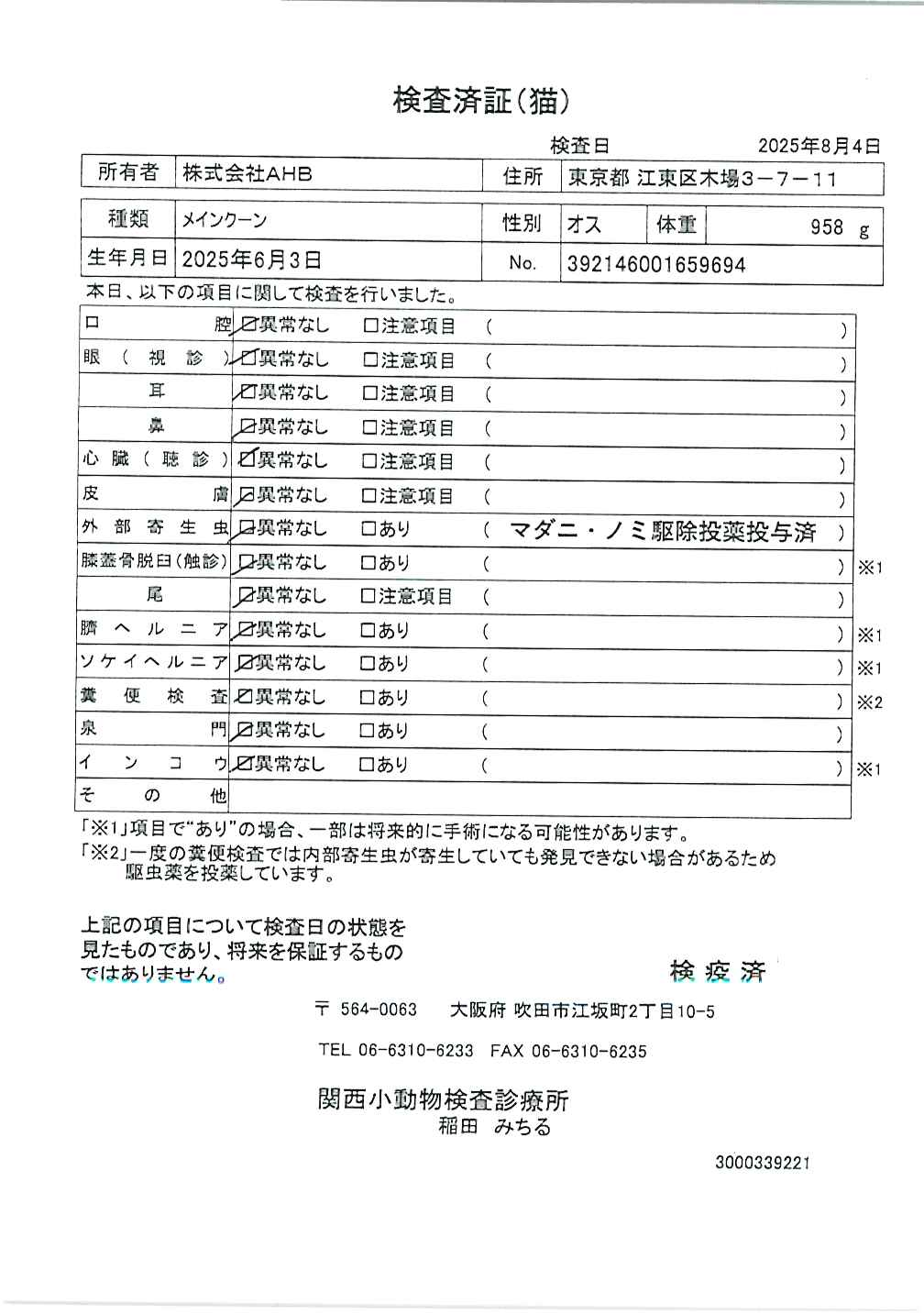 メインクーン