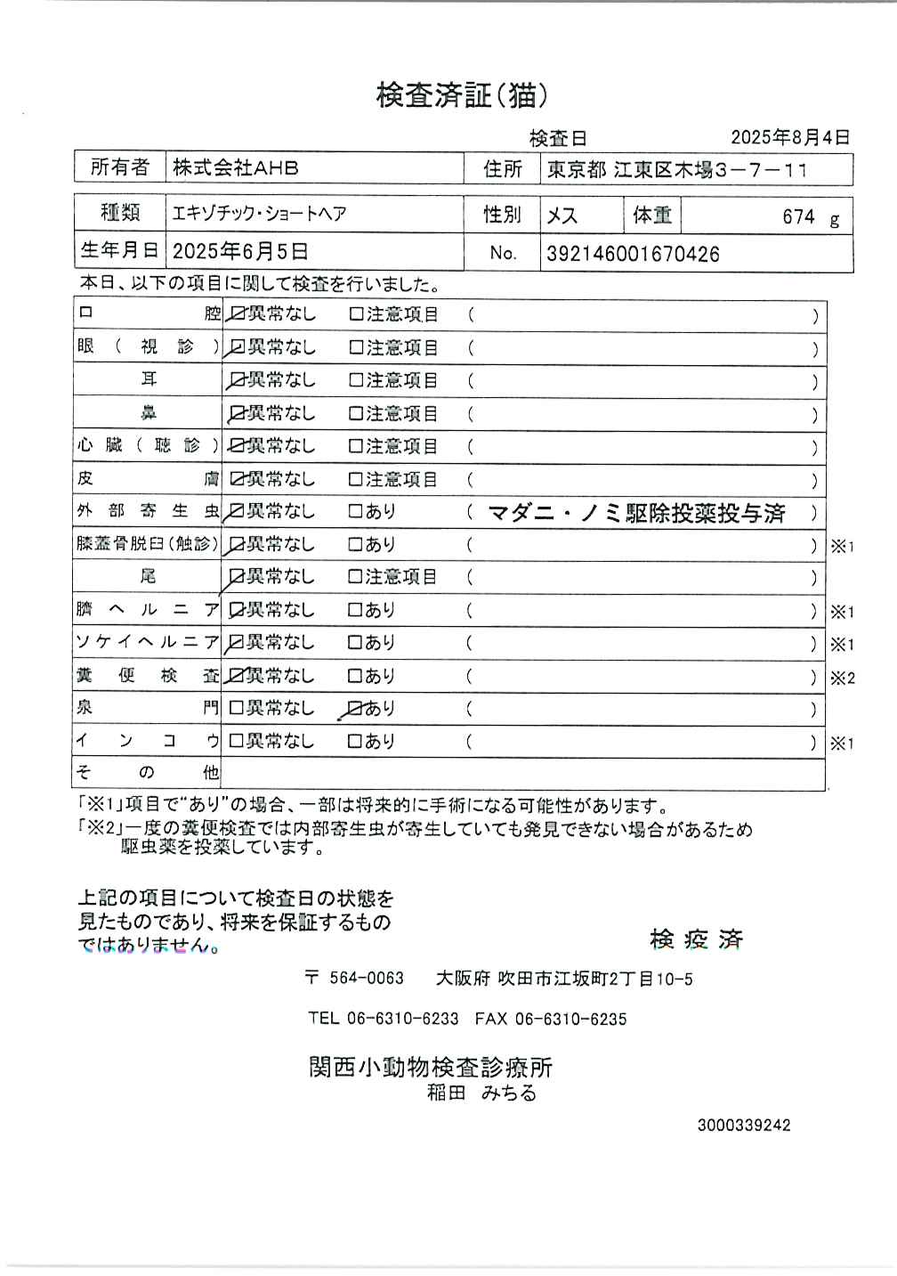 エキゾチック・ショートヘア