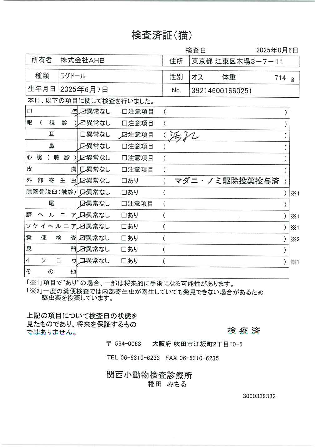 ラグドール