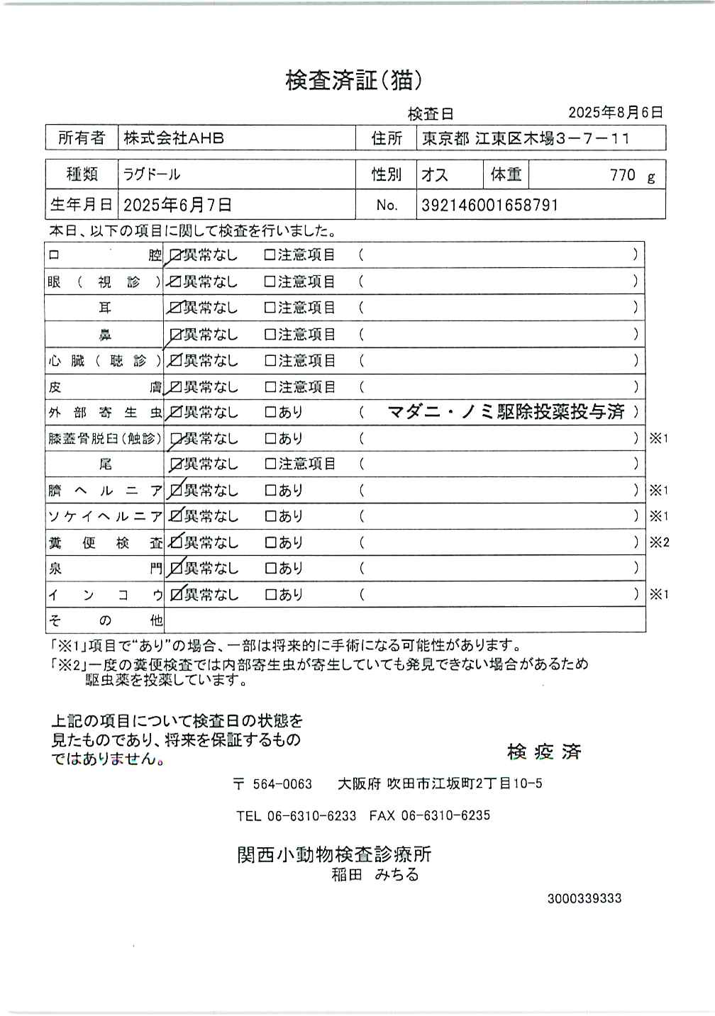 ラグドール