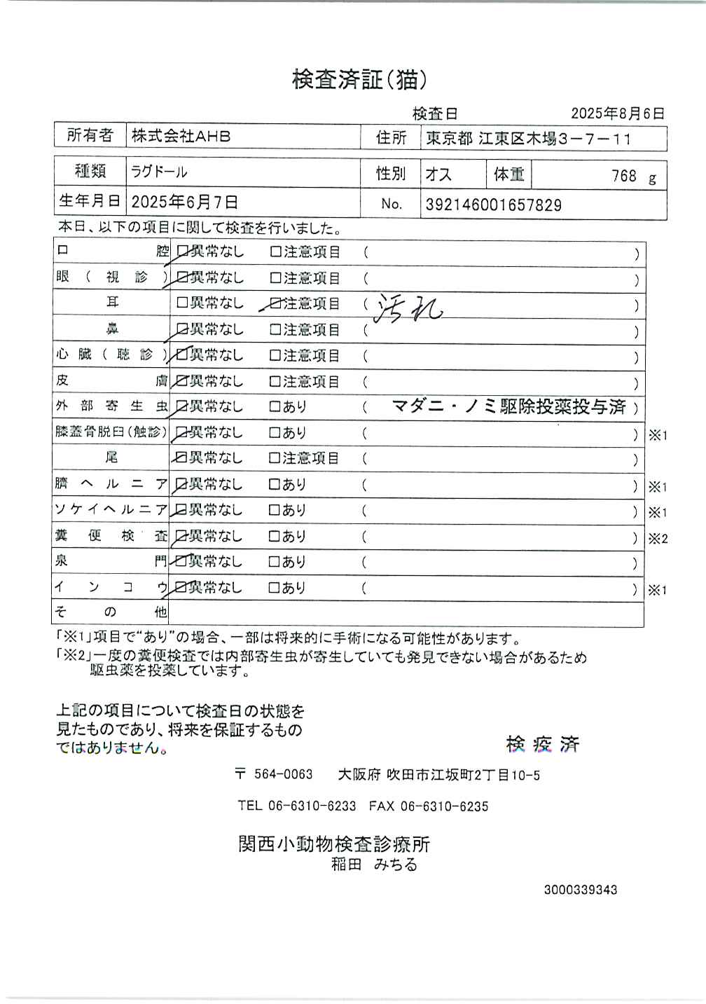 ラグドール