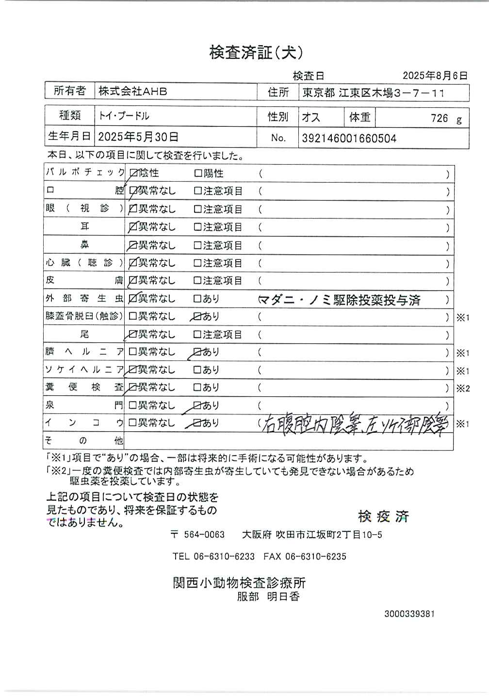 トイ・プードル