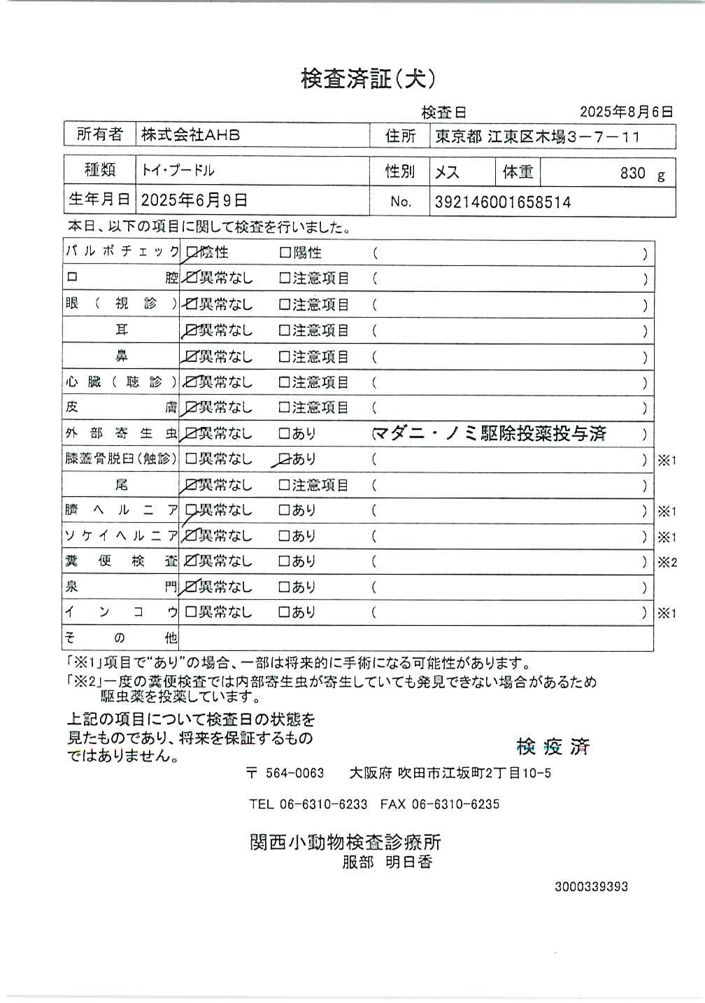 トイ・プードル