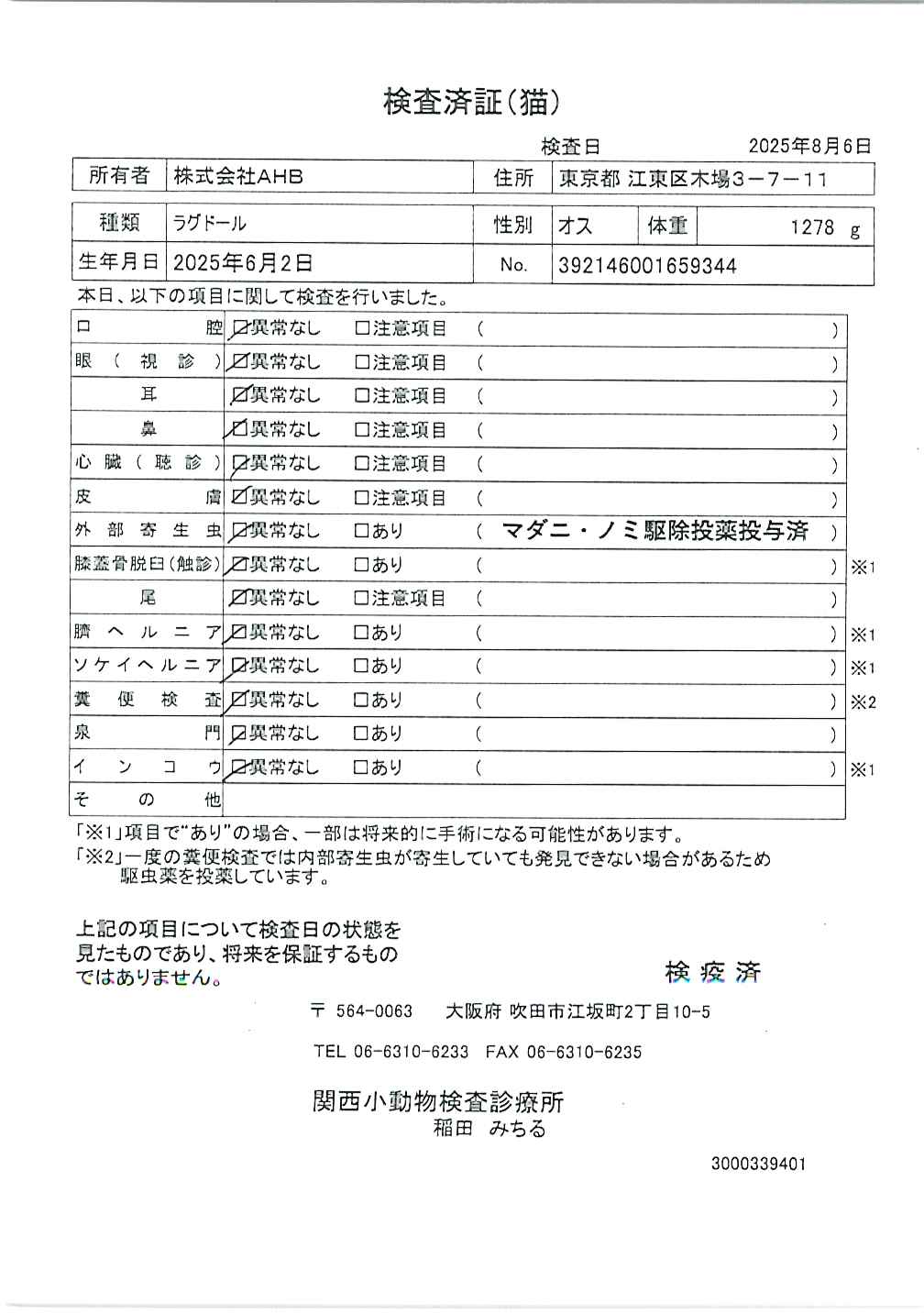 ラグドール