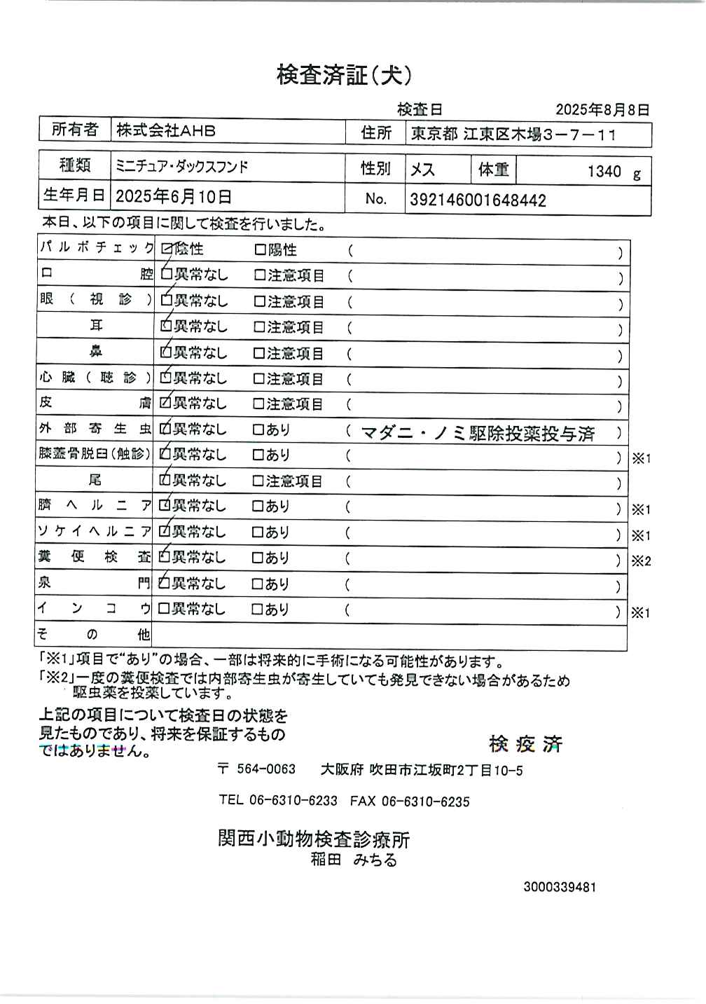 ミニチュア・ダックスフンド