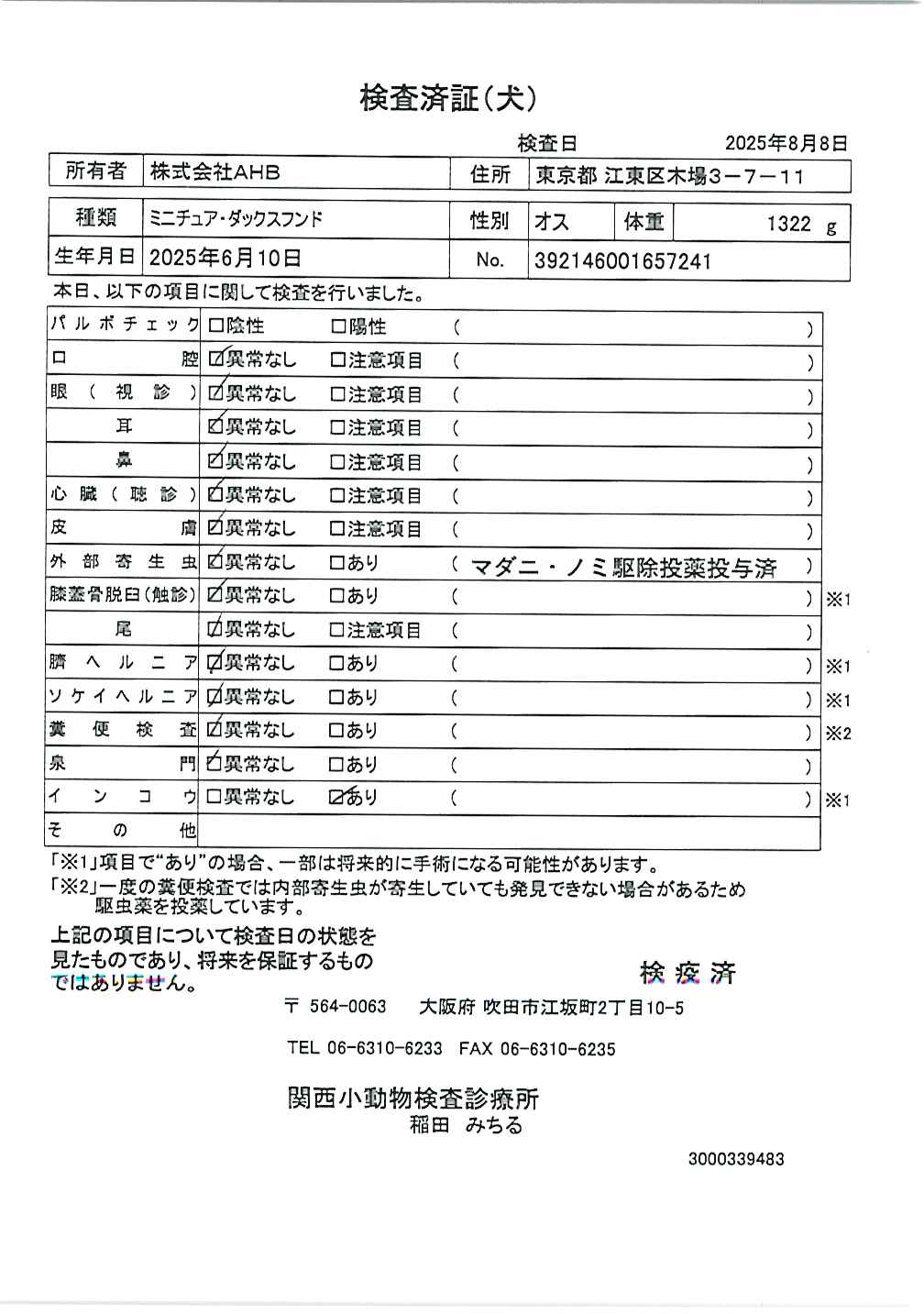 ミニチュア・ダックスフンド