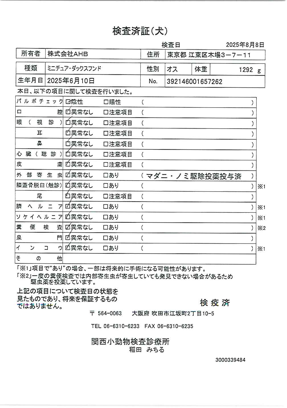 ミニチュア・ダックスフンド
