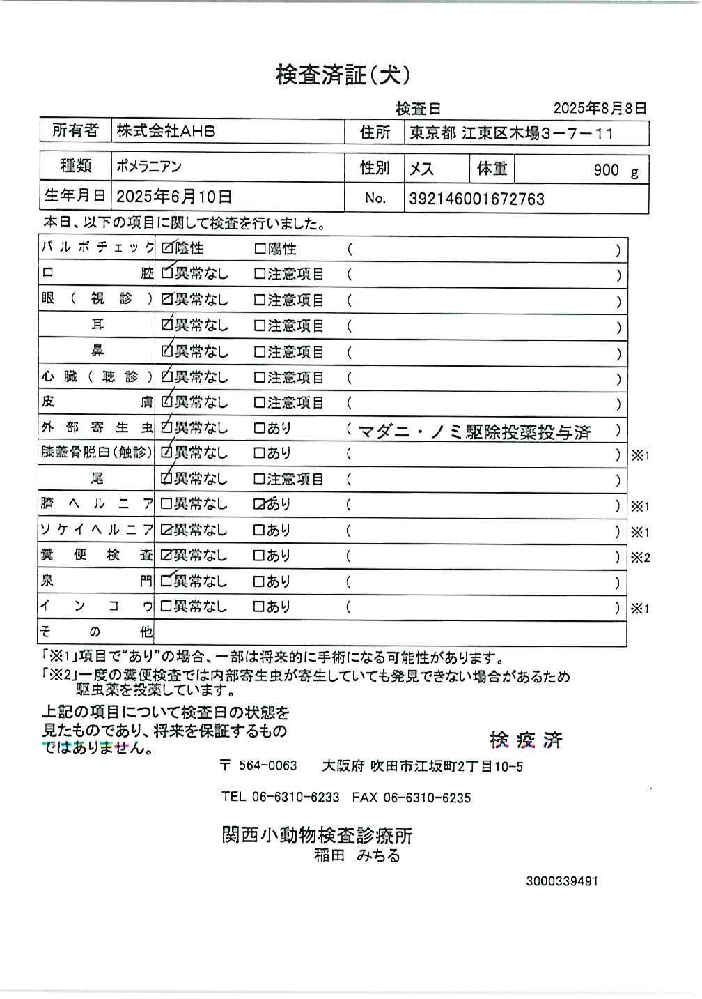 ポメラニアン