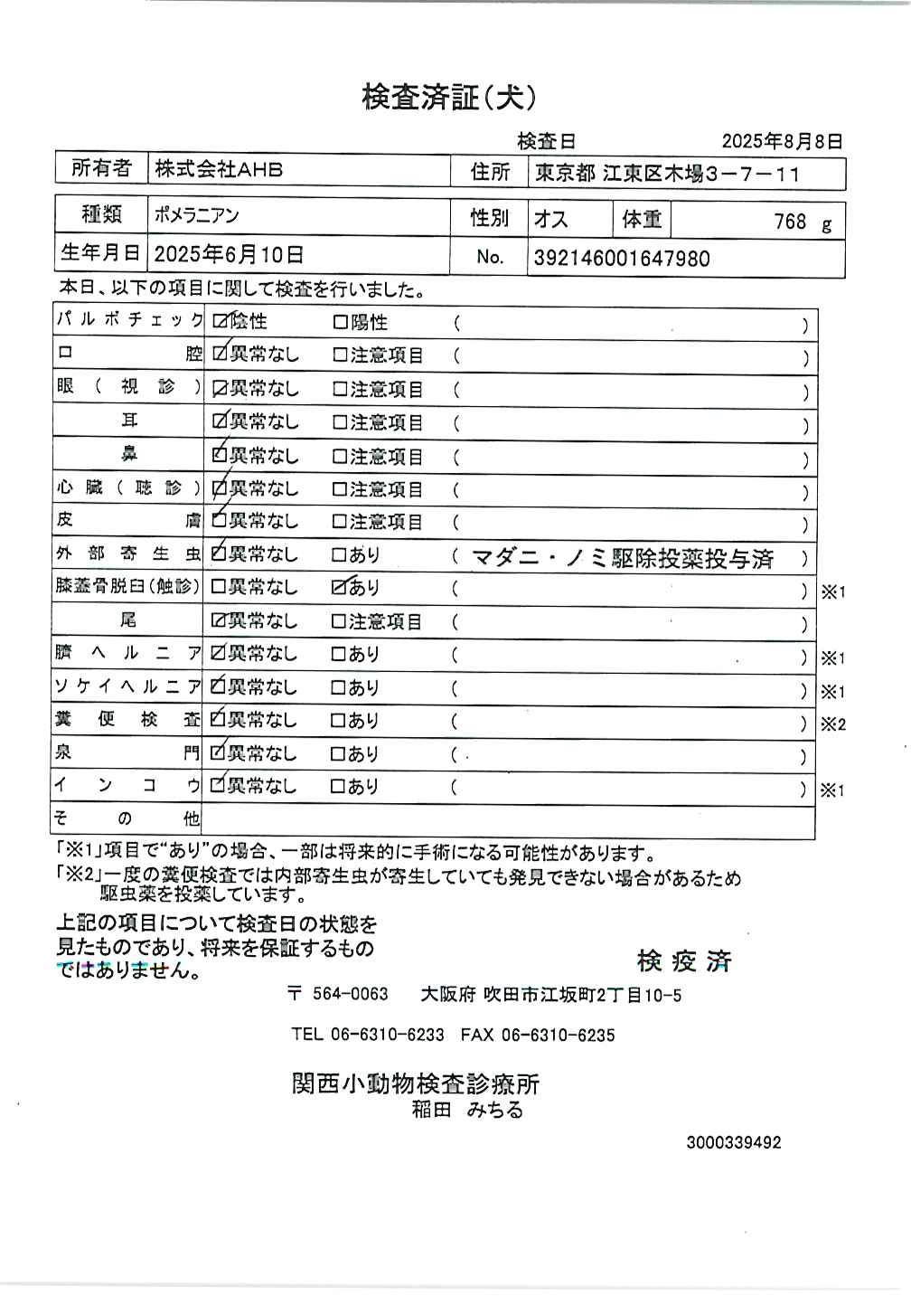 ポメラニアン
