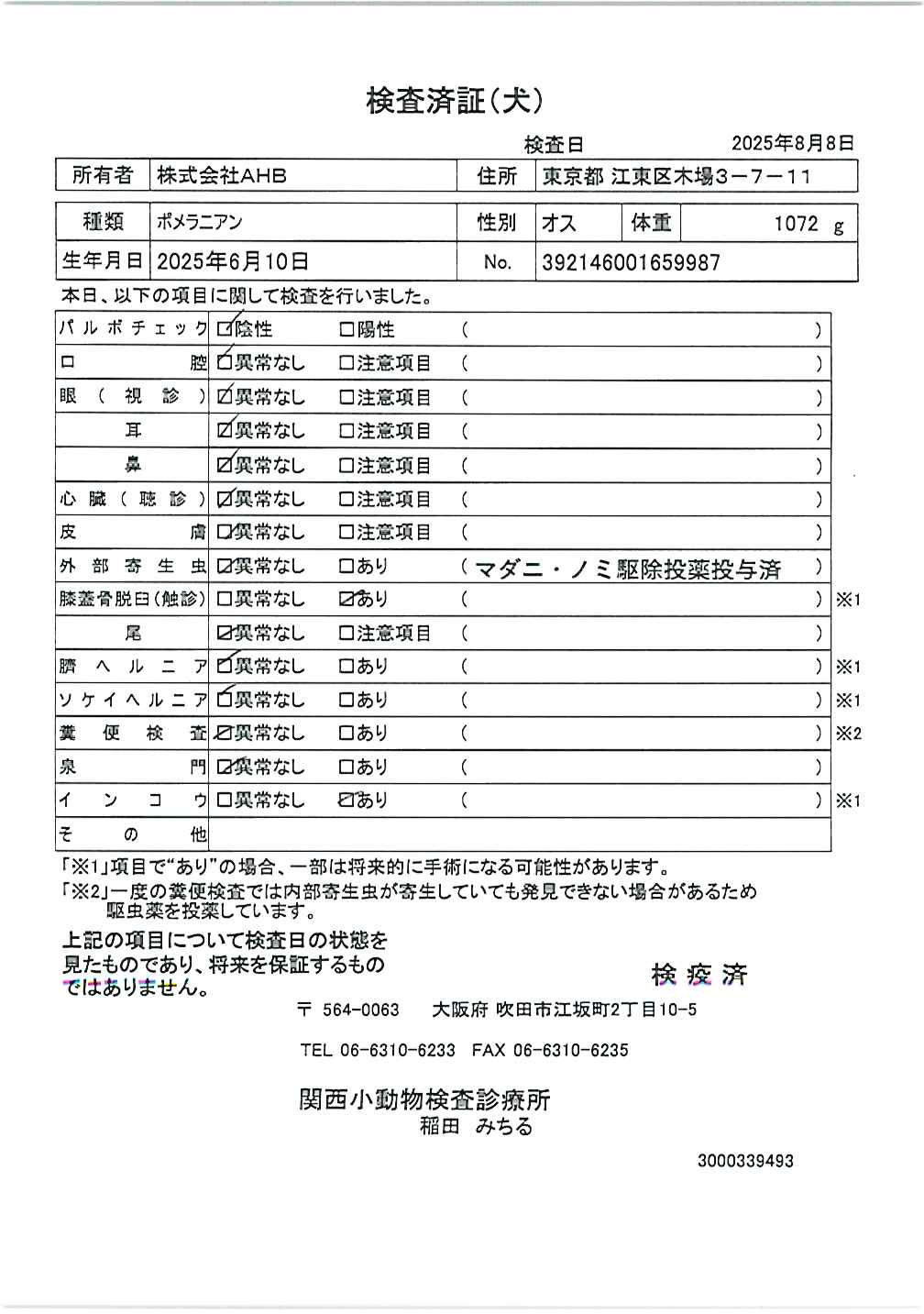 ポメラニアン