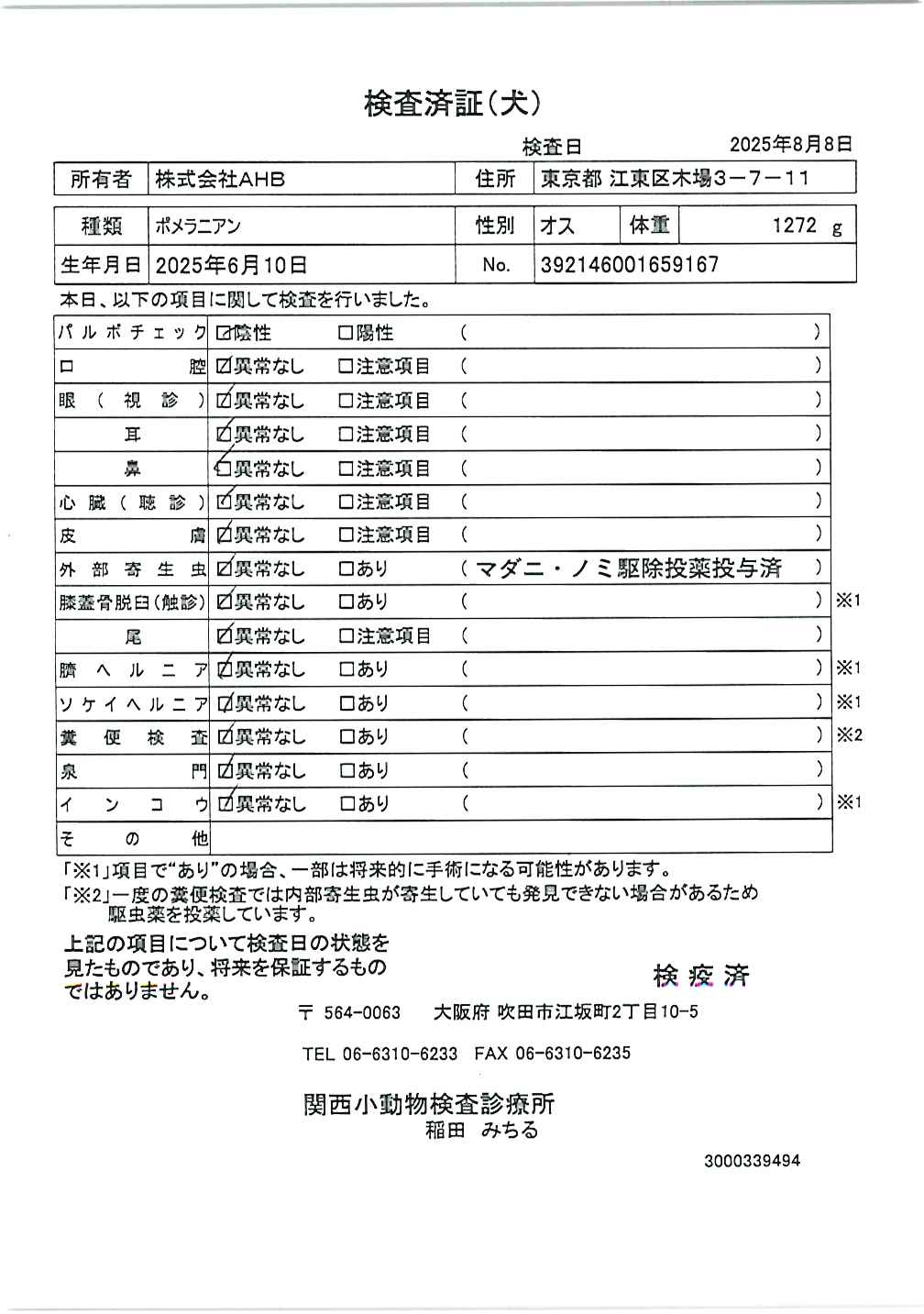 ポメラニアン