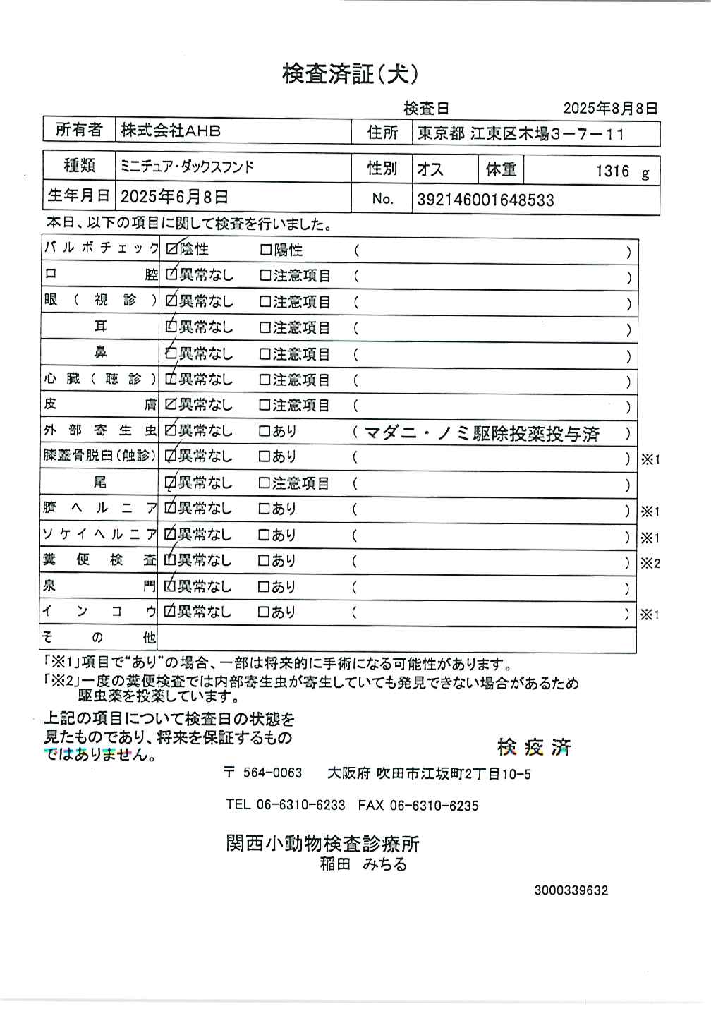 ミニチュア・ダックスフンド