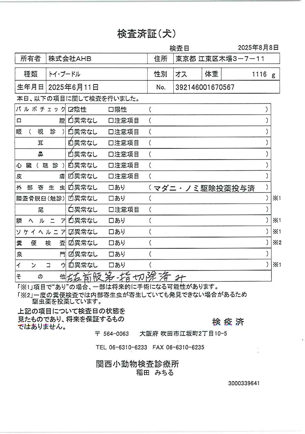 トイ・プードル