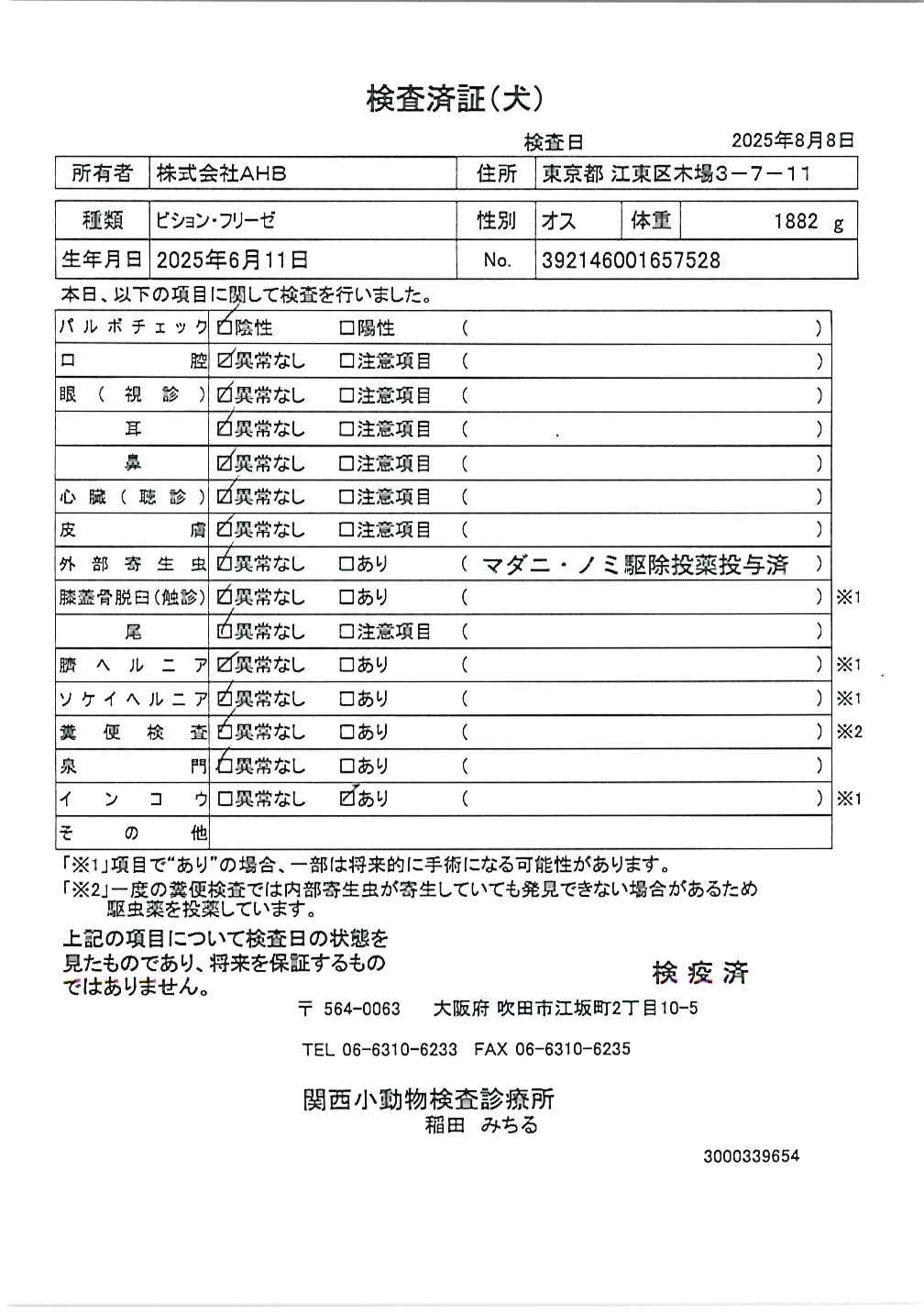 ビション・フリーゼ