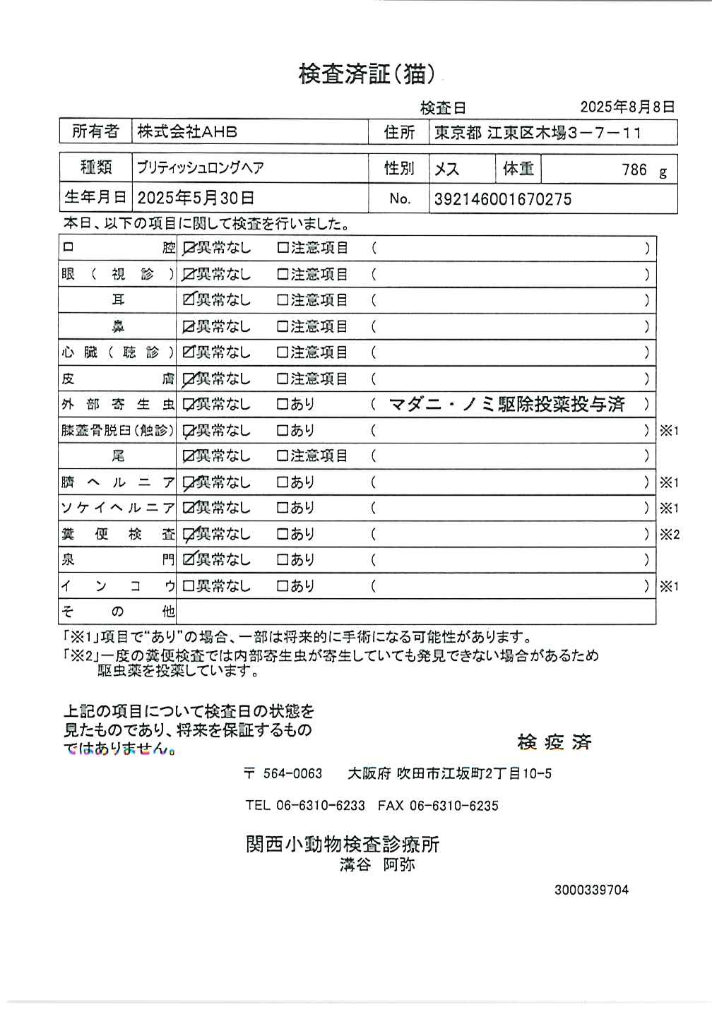 ブリティッシュロングヘア