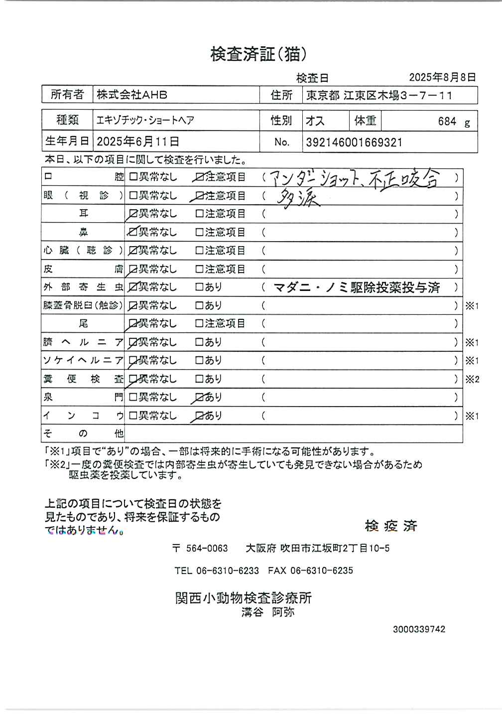 エキゾチック・ショートヘア