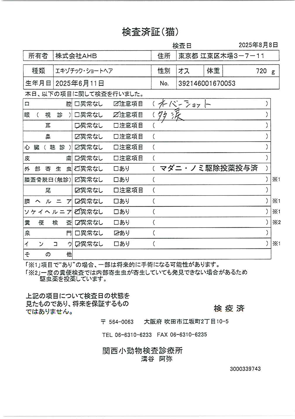 エキゾチック・ショートヘア