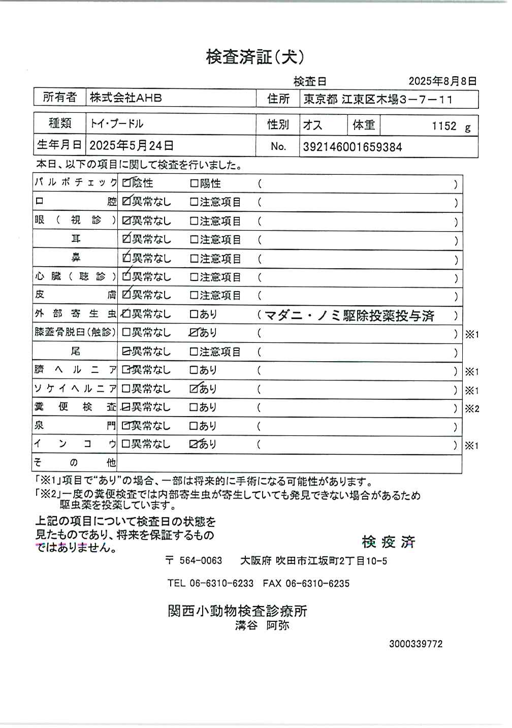 トイ・プードル
