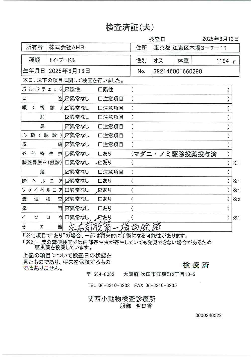 トイ・プードル