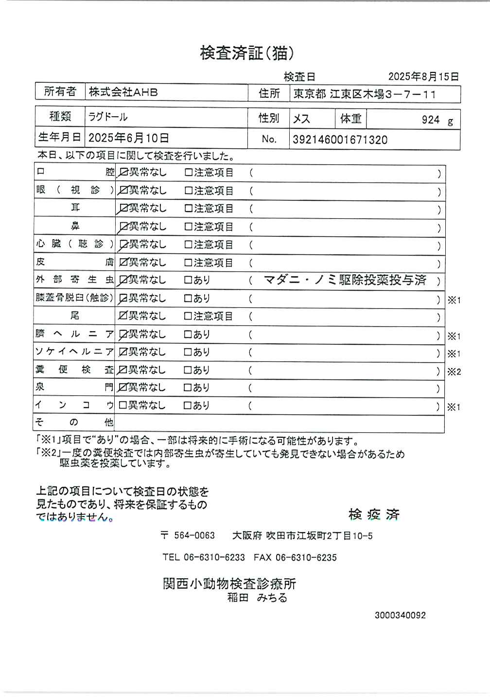 ラグドール