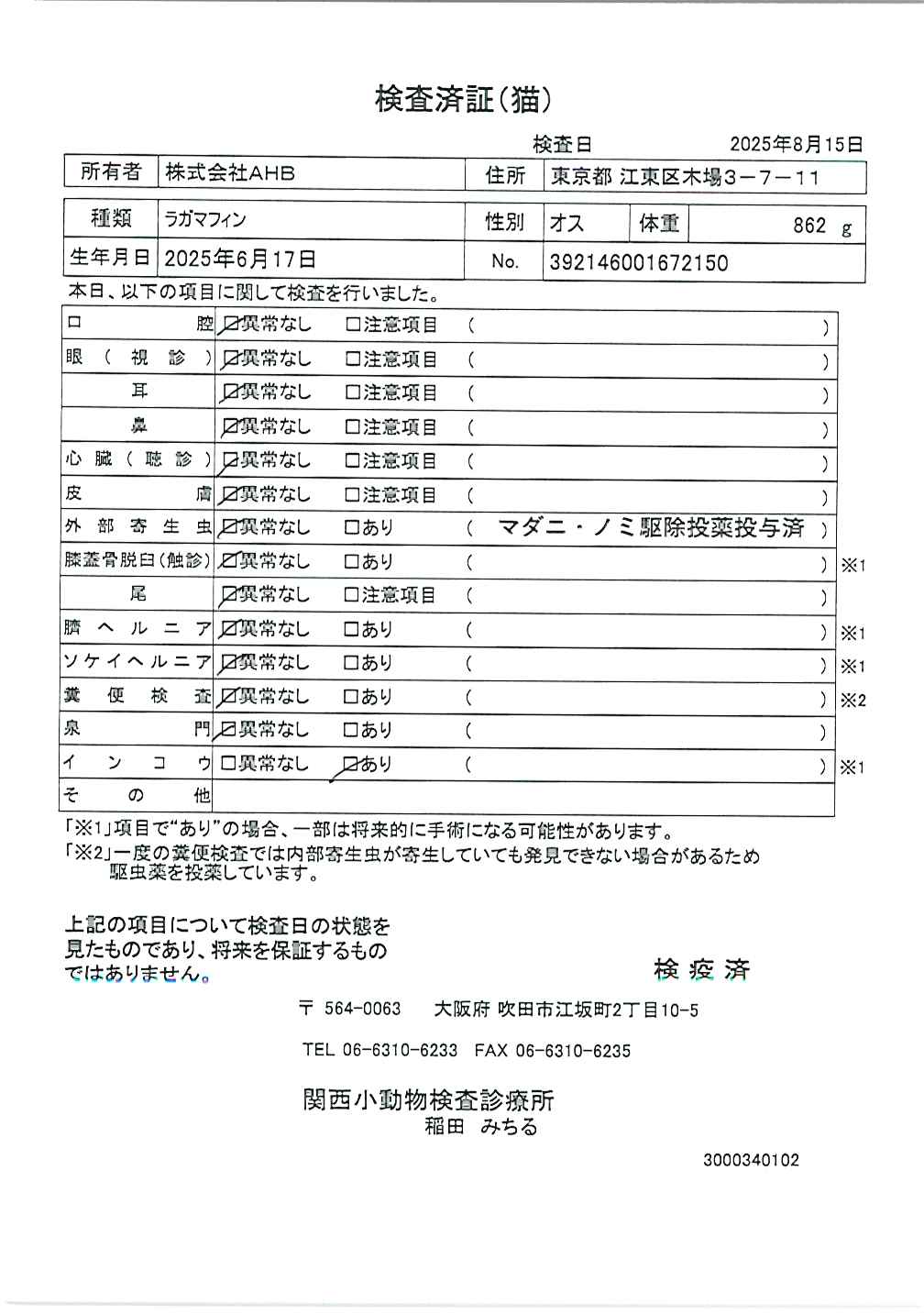 ラガマフィン