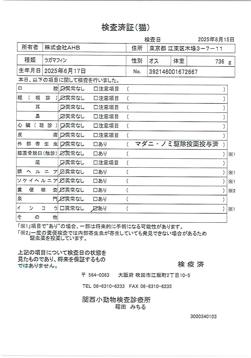 ラガマフィン