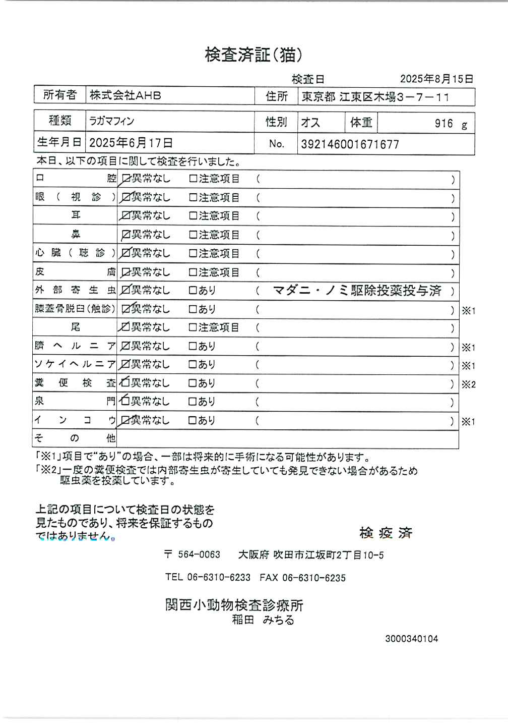 ラガマフィン
