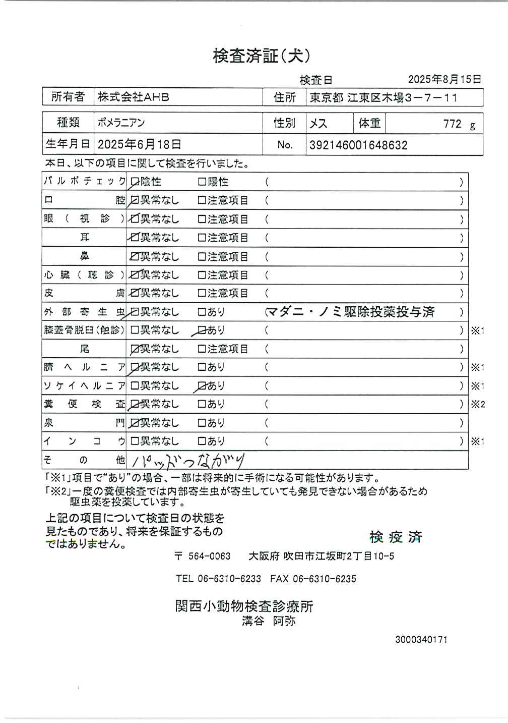 ポメラニアン