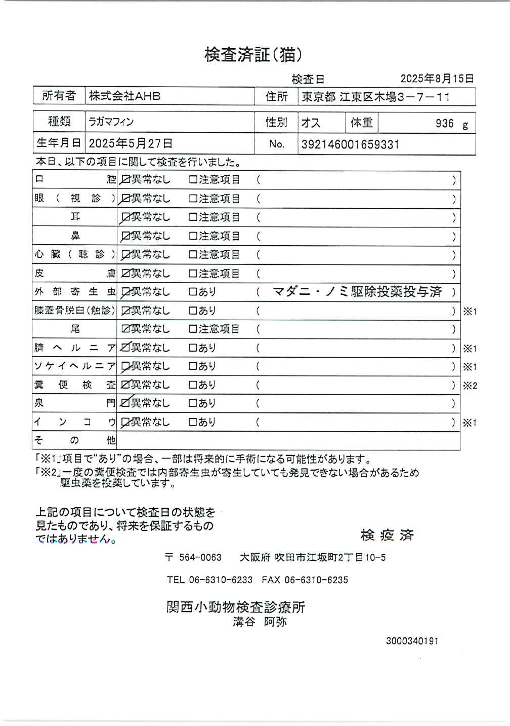 ラガマフィン