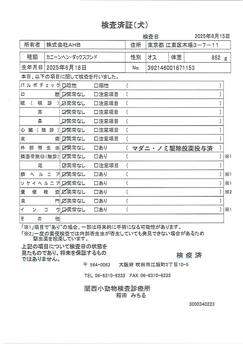 カニーンヘン・ダックスフンド