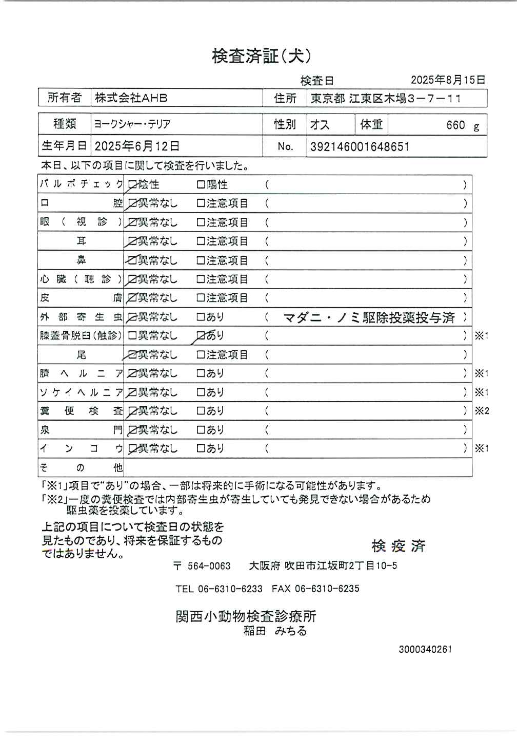 ヨークシャー・テリア