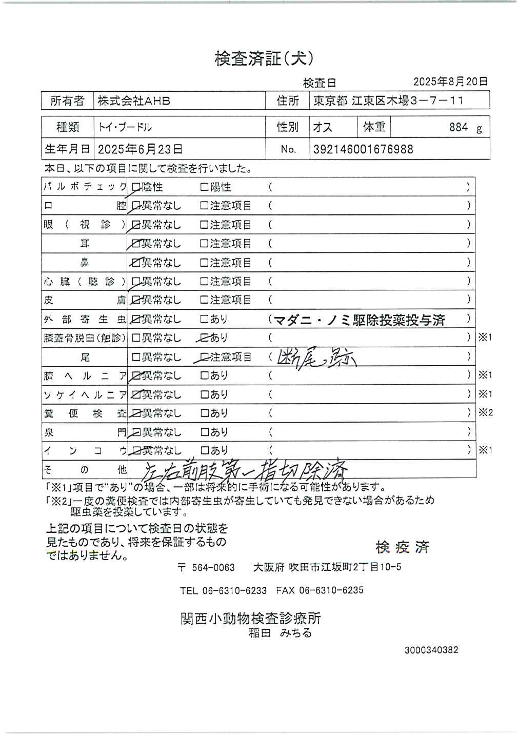トイ・プードル